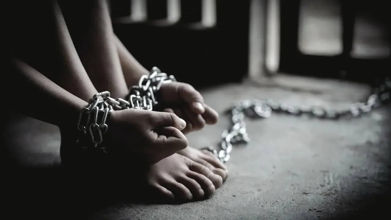 Ministry of Internal Affairs reports new cases of human trafficking: baby sale, recruitment of homeless, and forced labor