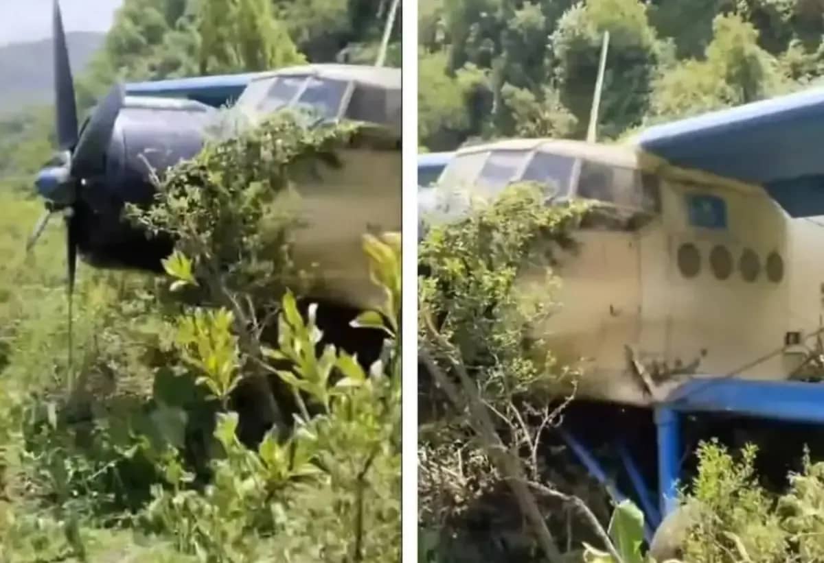 Самолет Ан-2, повисший на деревьях: В Алматинской области воздушное судно едва не врезалось в гору и успело совершить экстренную посадку