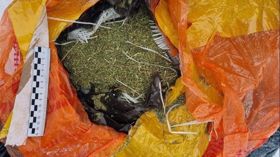 Риддер тұрғынының үйінен 7 келі есірткі табылды