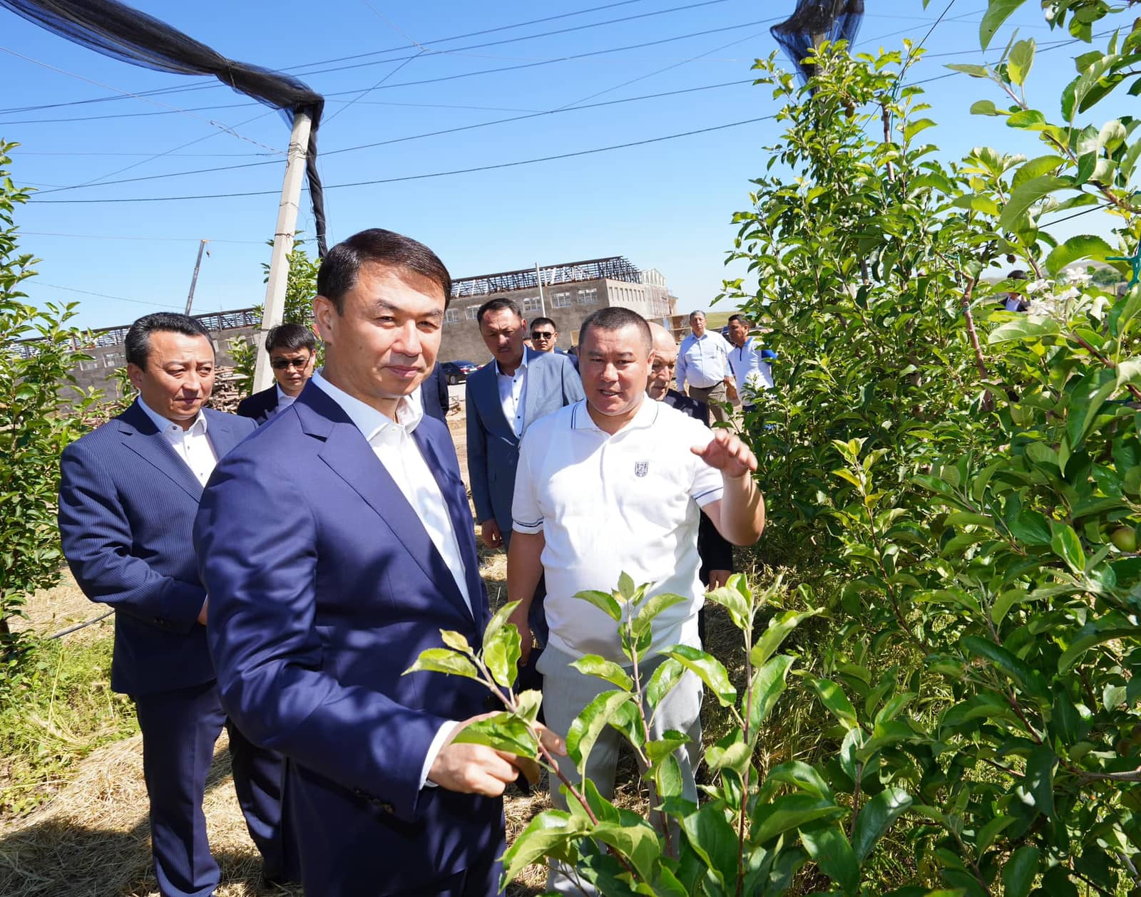 Төле би ауданында табиғи шырын шығаратын цех іске қосылды