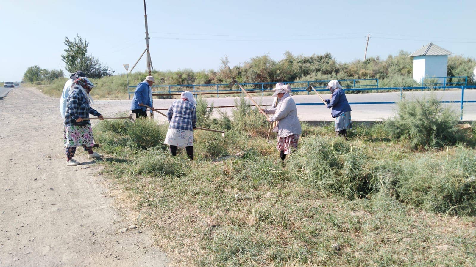 «Таза қазақстан»: Жетісайда 500-ге жуық адам тазалық акциясына қатысты