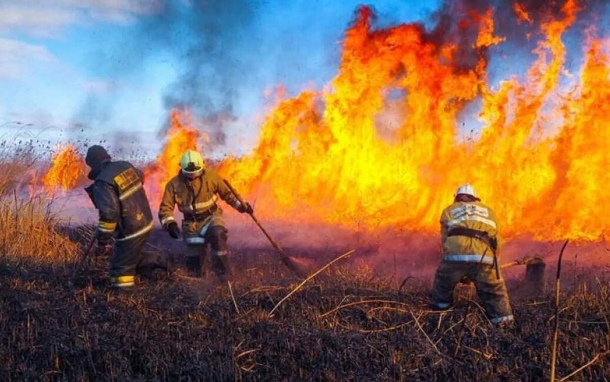 Қарағанды және Павлодар облыстарындағы дала өрті 45 мың гектарға жетті