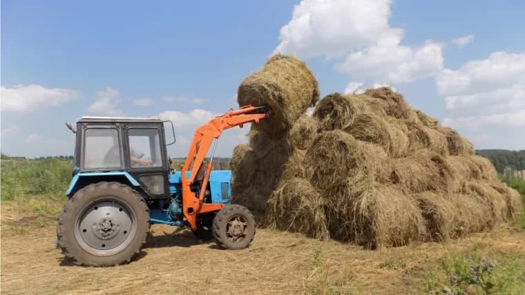 Шөп шапқан тұрғындардан пара алған Алакөл мемлекеттік қорығының директоры сотталды