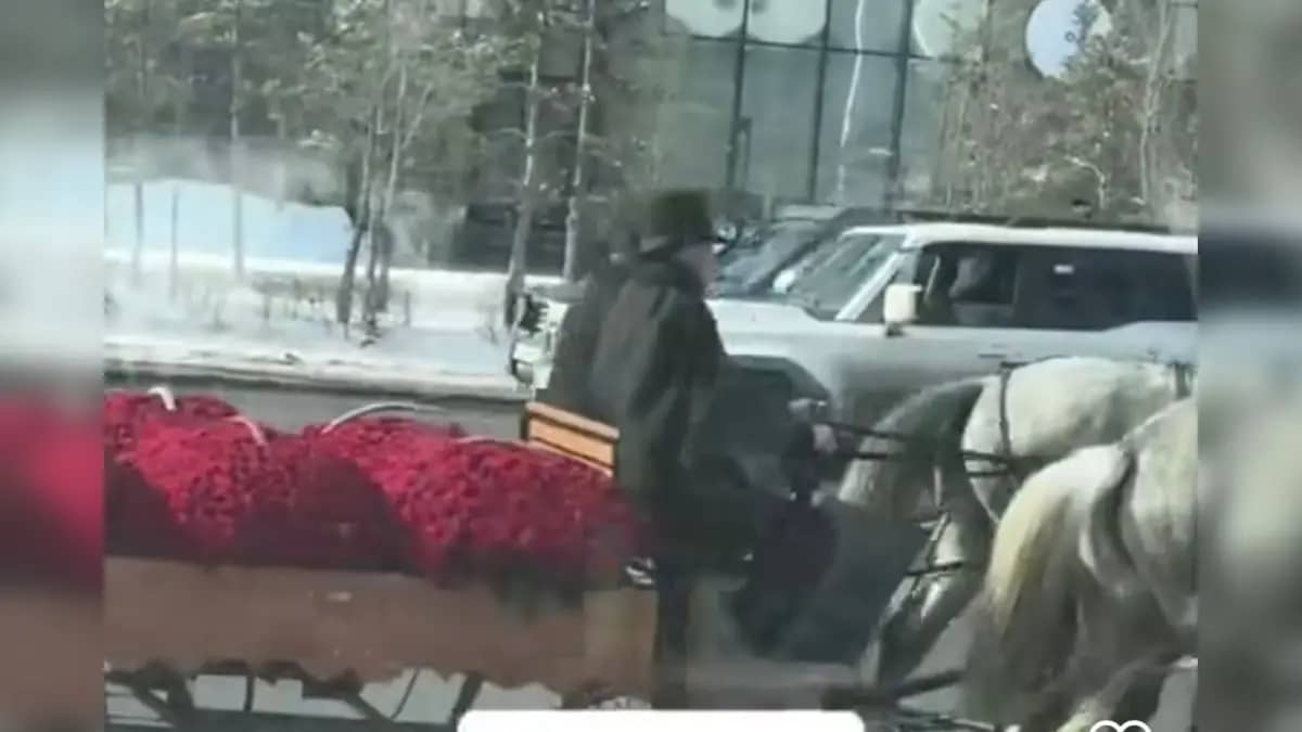 «Алдымен анаңа апар»: сүйіктісіне атты арбамен гүл апарған блогер жұрқа жақпай қалды (ВИДЕО)