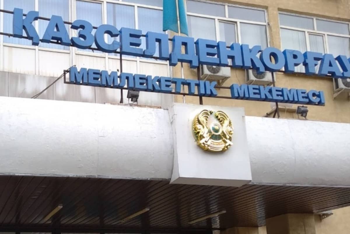 Жоқ жанға жалақы жіберген: Қазселденқорғау мекемесінде филиал басшысы сотталды