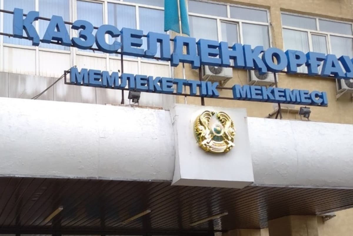 Жоқ жанға жалақы жіберген: Қазселденқорғау мекемесінде филиал басшысы сотталды