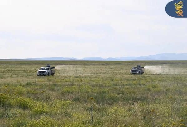 Созақта шегірткеге қарсы күрес жұмыстары қарқынды жүріп жатыр
