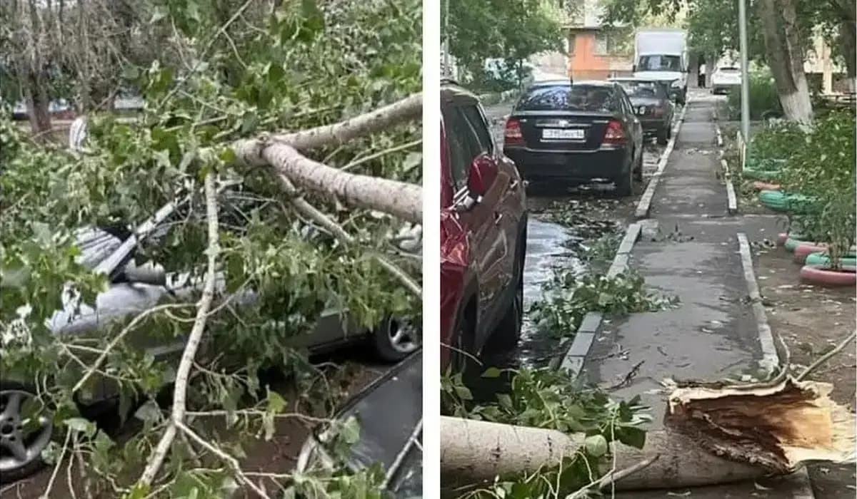 Ақсудағы дауылдан қаза тапқан әйелдің отбасына қандай көмек көрсетілді