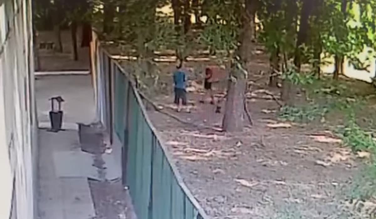 Жалпақсай ауылында иттер баланы жаралады: иесі видео арқылы өз уәжін айтты