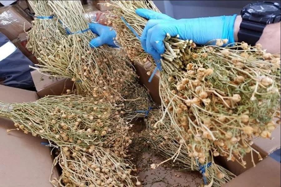 Ресейге адыраспан алып өтпек болған әйел 8 жылға сотталды