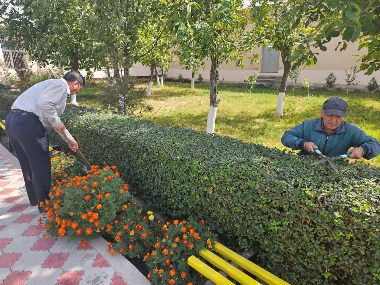 Кәсіподақтар федерациясының 35 жылдығына орай Түркістанда сенбілік өтті