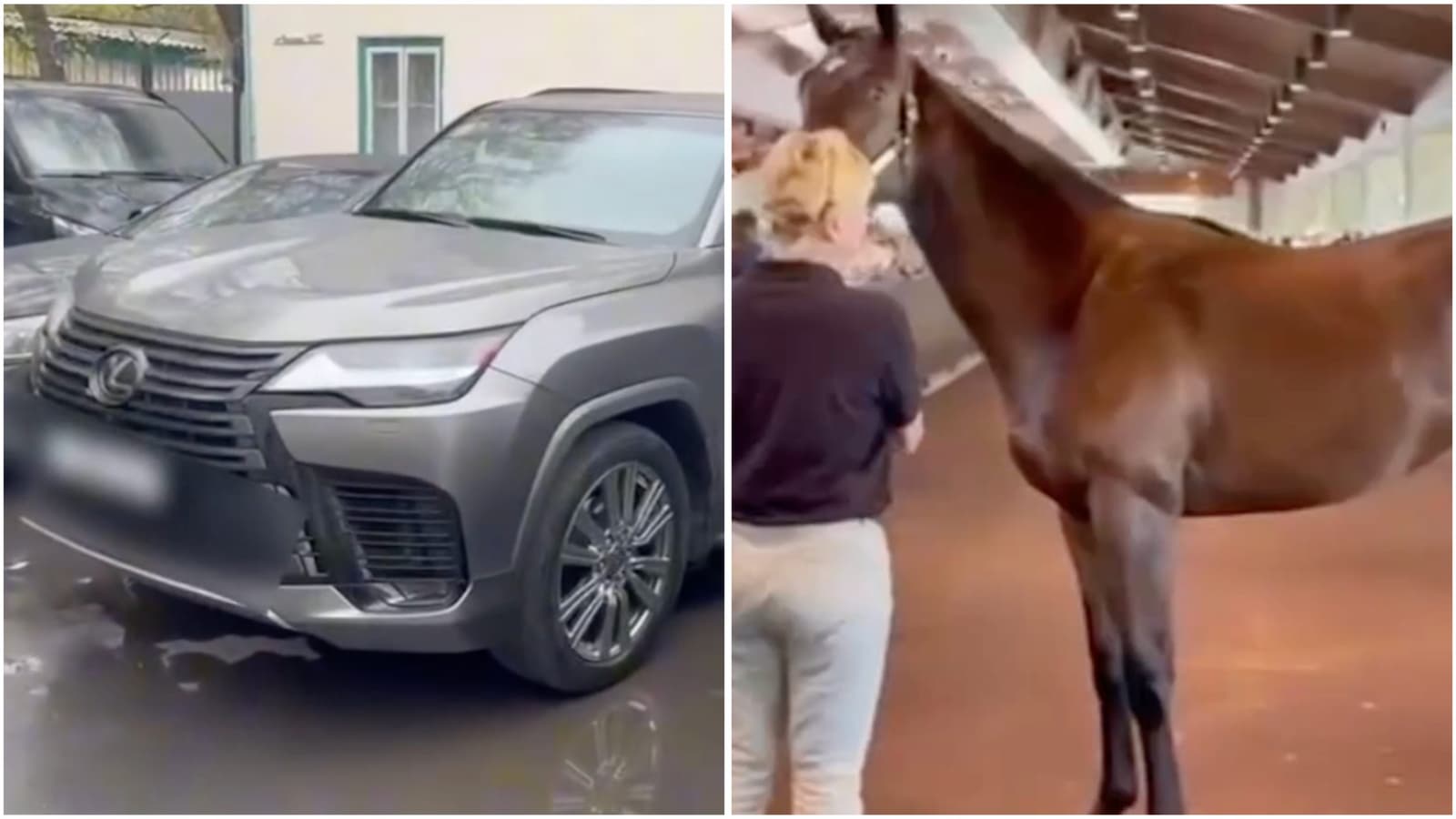 «Lamborghini, Cadillac Escalade, қымбат пәтер, асыл тұқымды жылқылар»: Шығыс Қазақстанда депутат аса ірі көлемде қаржы жымқырды деген күдікке ілінді