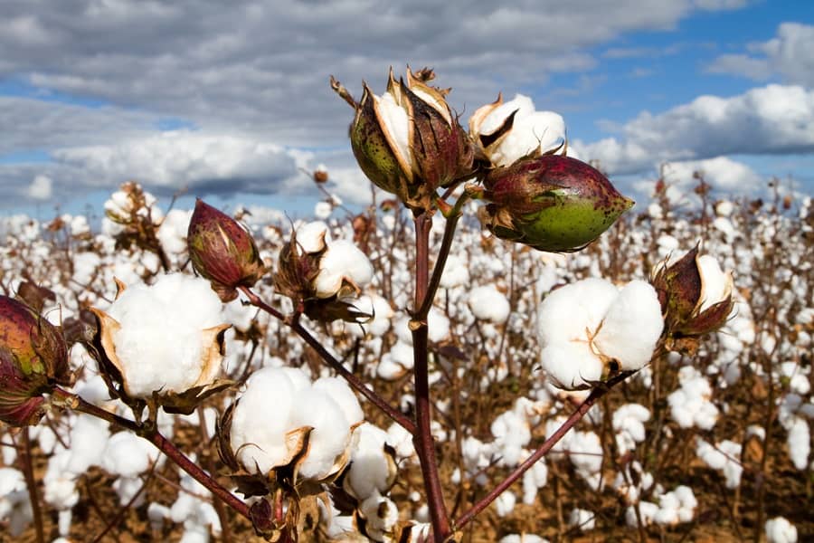 Түркістан облысында өнеркәсіп саласында 107 млрд теңгеге 22 жоба жүзеге асырылды