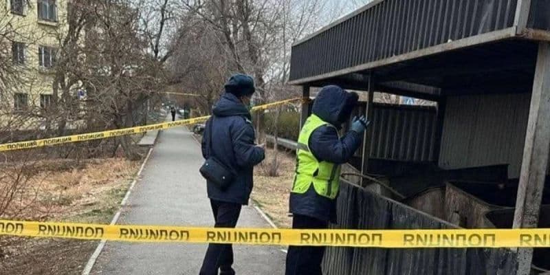 Түркістан облысында қоқыс жәшігінен жаңа туған нәрестенің денесі табылды