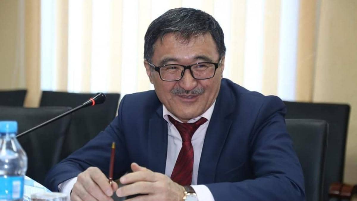 «Дронды, отқа жанбайтын үйдің қабырға материалын да Ата заңға қосайық»: Қайнар Олжай Конституция мүшелерінің сөздері сұйылып кеткенін сынға алды