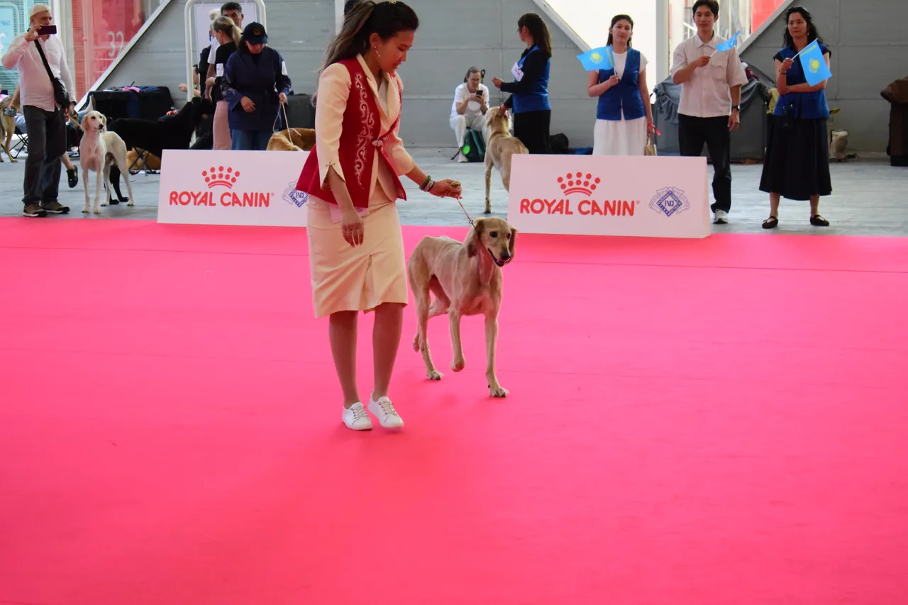 DSC_0616.JPG