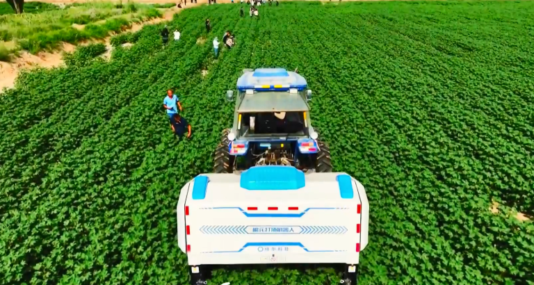 50 есе тиімді: Қытайда мақта кесуге арналған ақылды роботтар таныстырылды