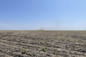 В Акмолинской области возвращают государству неиспользуемые земли