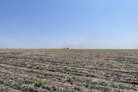 В Акмолинской области возвращают государству неиспользуемые земли