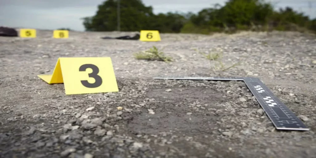 «Екі жігіт топты адамға оқ жаудырған»: Түркістан облысында атыстан бір тұрғын мерт болды