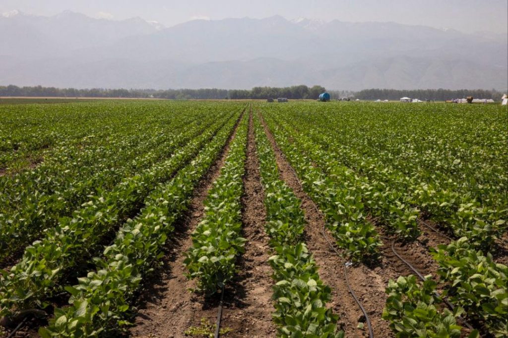 В Алматинской области обсудили вопросы финансирования и субсидирования сельского хозяйства