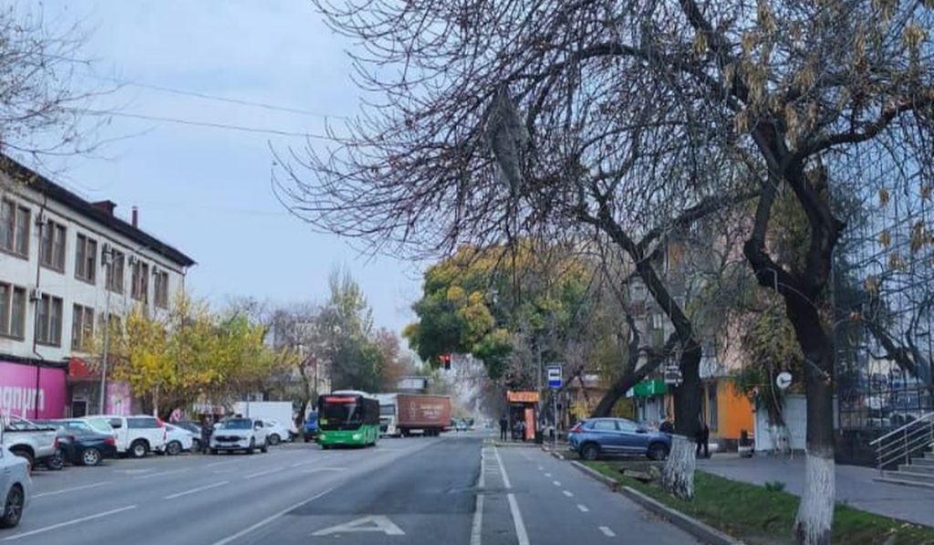 Қар шығару жұмыстарының сапасын арттыру үшін Алматыда жол бойындағы боллардтар алынып жатыр