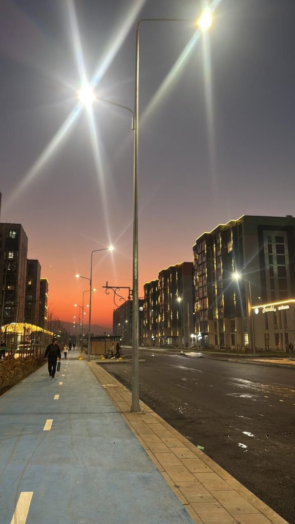 Турксибский район Алматы укрепляет зеленый статус: более 772 тыс. деревьев и новые озелененные улицы