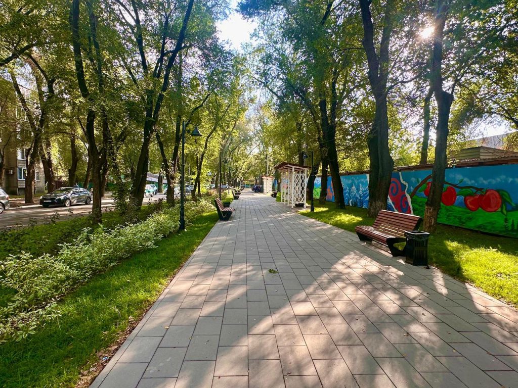 Түрксіб ауданында тұрғындар таңдаған 32 жоба іске асты